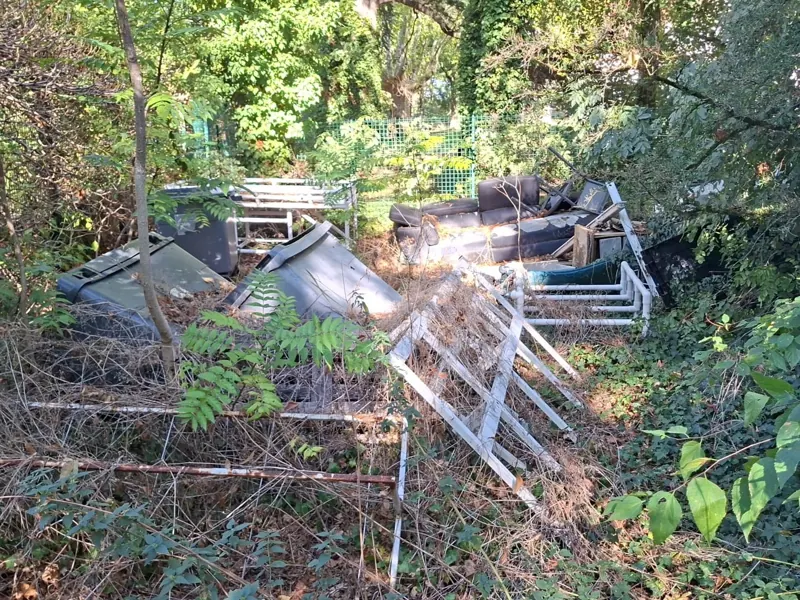 Canapé, conteneurs et structures métalliques envahis par la végétation sur un terrain laissé à l'abandon