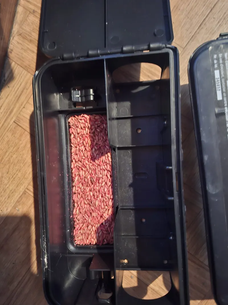 Appâts en grains dans un poste