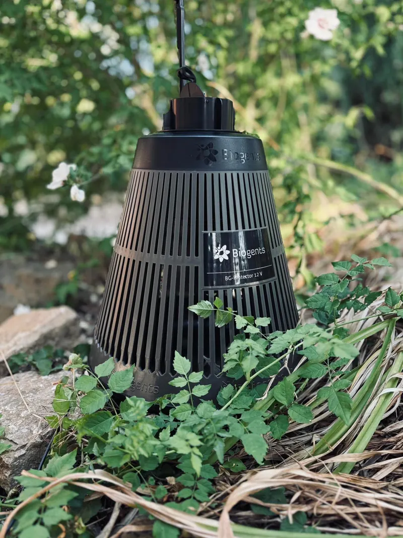 Piège à moustiques dans un jardin