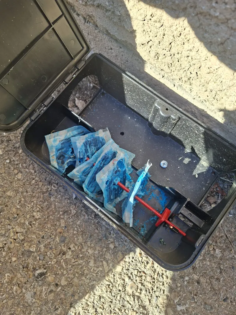 Poste avec appât consommé
