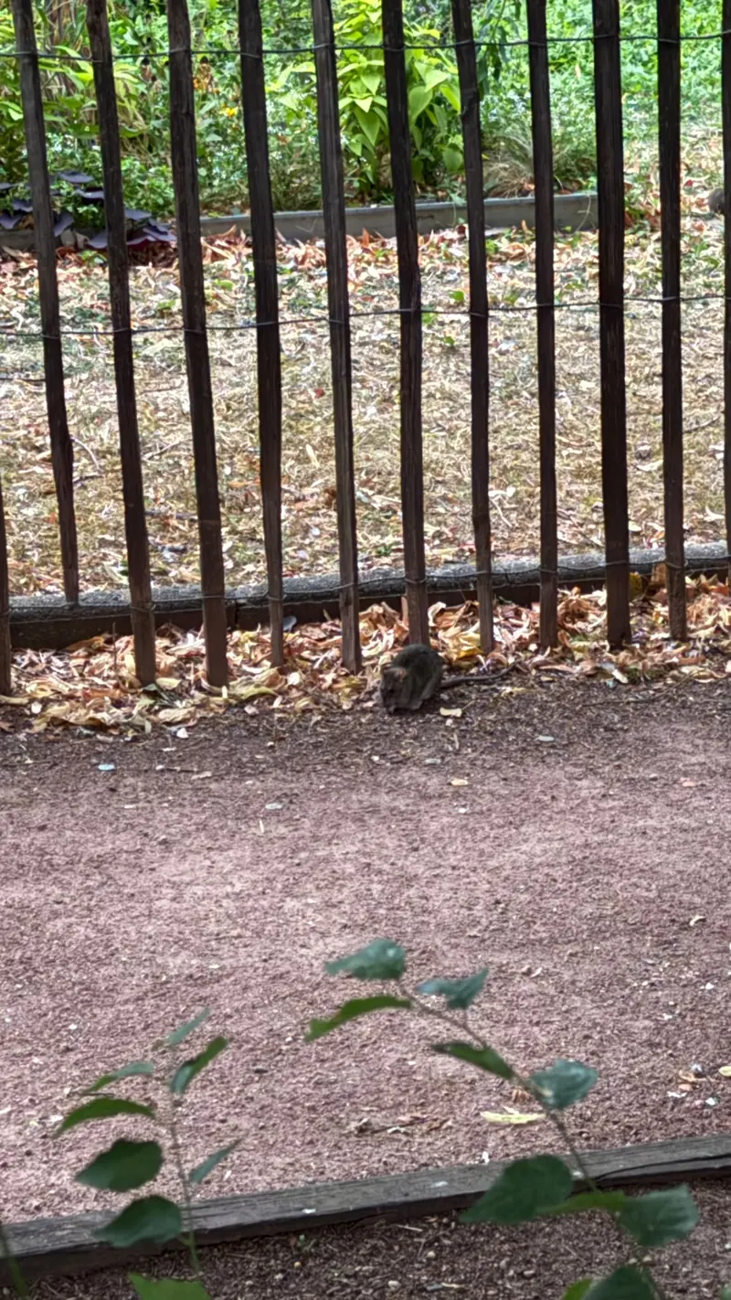 Abords d'un parc